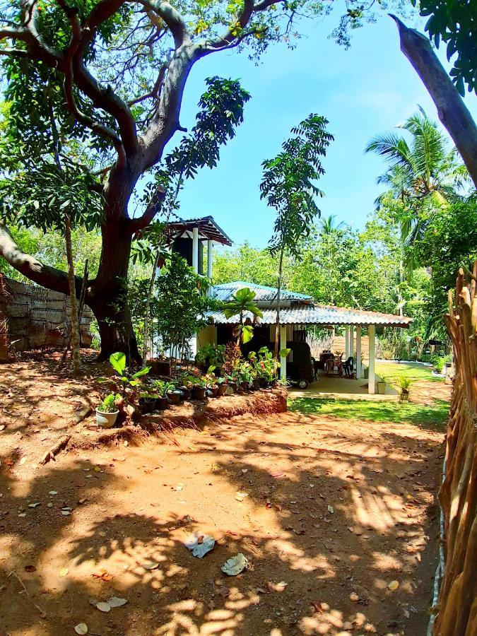 דיקוולה Cashew Villa Hiriketiya מראה חיצוני תמונה
